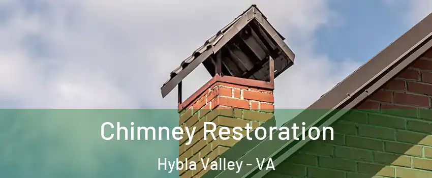  Chimney Restoration Hybla Valley - VA