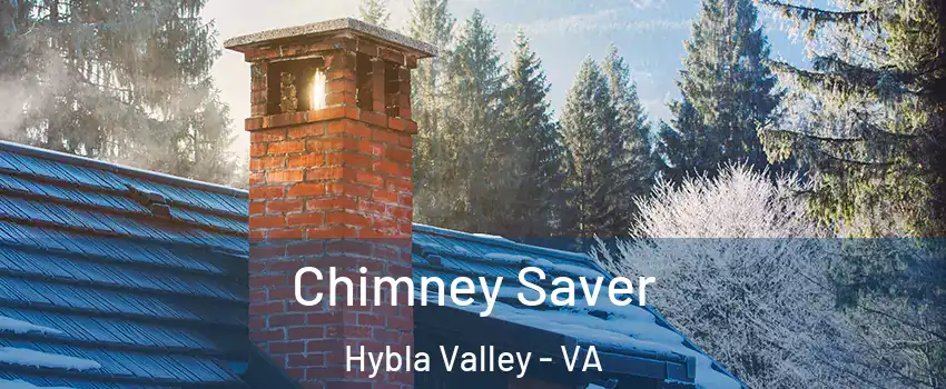  Chimney Saver Hybla Valley - VA
