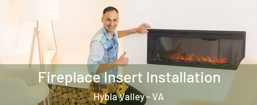  Fireplace Insert Installation Hybla Valley - VA